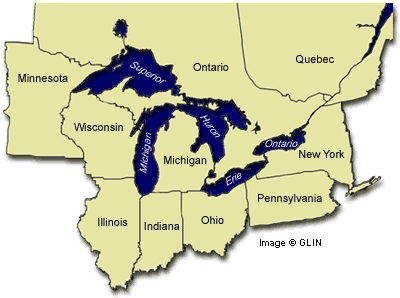 Great Lakes Cichlid Society