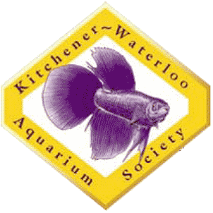 Kitchener-Waterloo Aquarium Society